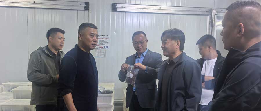 从双向考察到战略合作！大兴餐饮携手顺鑫鹏程开启供应链合作新篇章